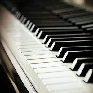 大鸡吧操我红桃视频
